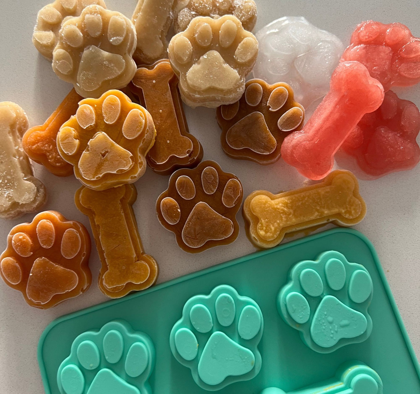 Paw & Bone Appétit Moulds (2 pieces)