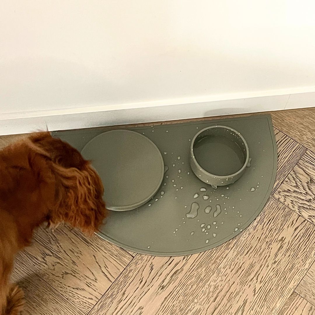 Dog spilt his water bowl and his green food mat has kept the floor dry and mess free.